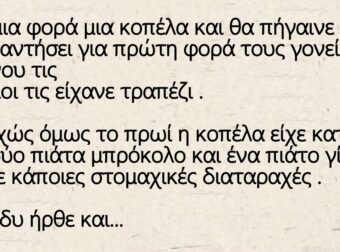 Ανέκδοτο: Μια κοπέλα θα πήγαινε να συναντήσει για πρώτη φορά τους γονείς του γκόμενου τις οι οποίοι τις είχανε τραπέζι